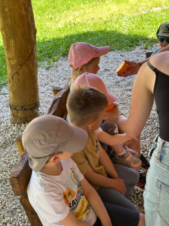 Projekt TÝDEN ZDRAVÍ